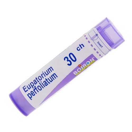 Eupatorium Perf 30ch